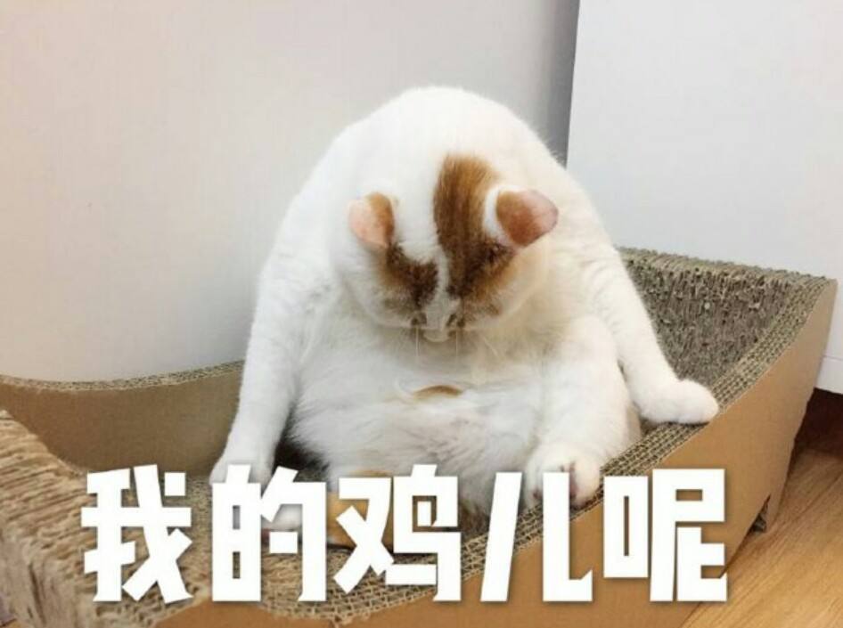 蔡徐坤篮球视频 直男圈对蔡徐坤的看法 玩家追星与明星粉丝消费行为对比_明星打篮球的黑料有哪些软件,